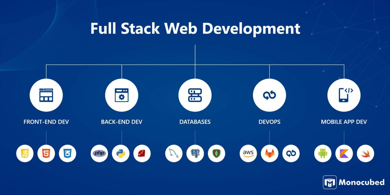 Full stack developer